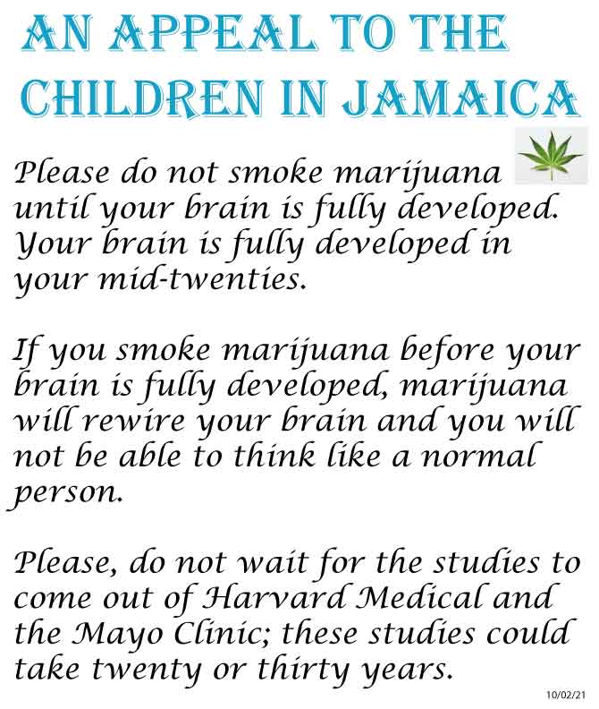Please do not smoke marijuana until your brain is fully developed. Your brain is fully developed in your mid-twenties. If you smoke marijuana before your brain is fully developed, marijuana will rewire your brain and you will not be able to think like a normal person. Please, do not wait for the studies to come out of Harvard Medical and the Mayo Clinic; these studies could take twenty or thirty years.